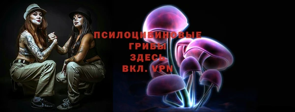 молекула духа Аркадак