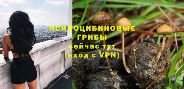 тгк Армянск