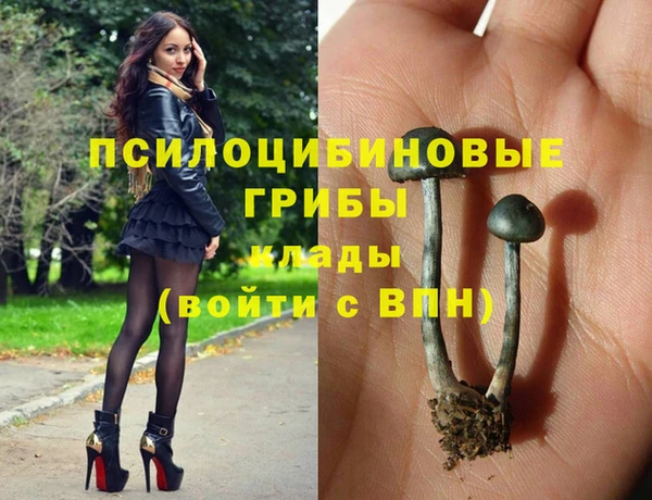 тгк Армянск