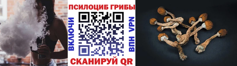 Галлюциногенные грибы Psilocybe  Ливны 